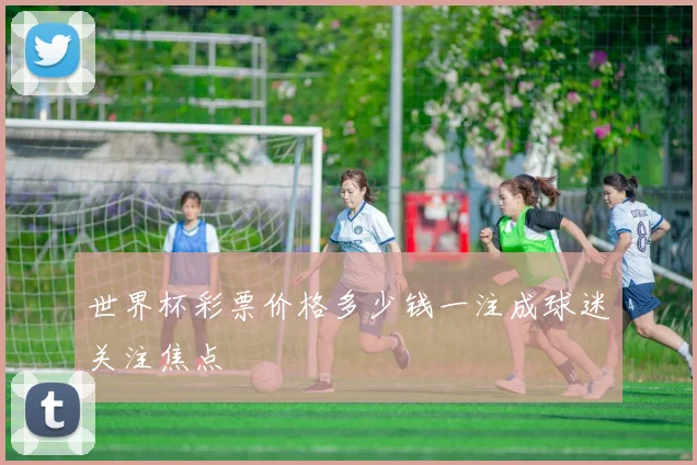世界杯彩票价格多少钱一注成球迷关注焦点
