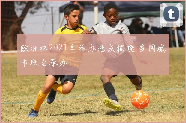 欧洲杯2021年举办地点揭晓 多国城市联合承办
