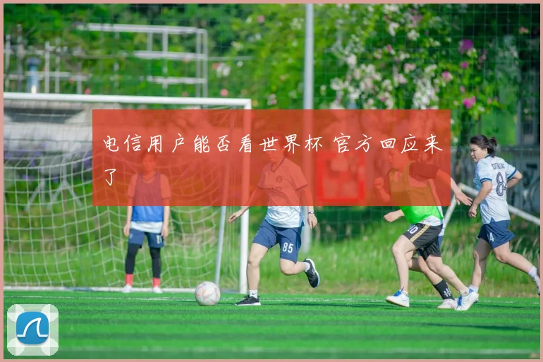电信用户能否看世界杯 官方回应来了