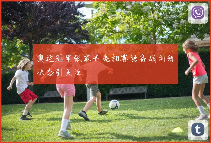 奥运冠军张家齐亮相赛场备战训练状态引关注