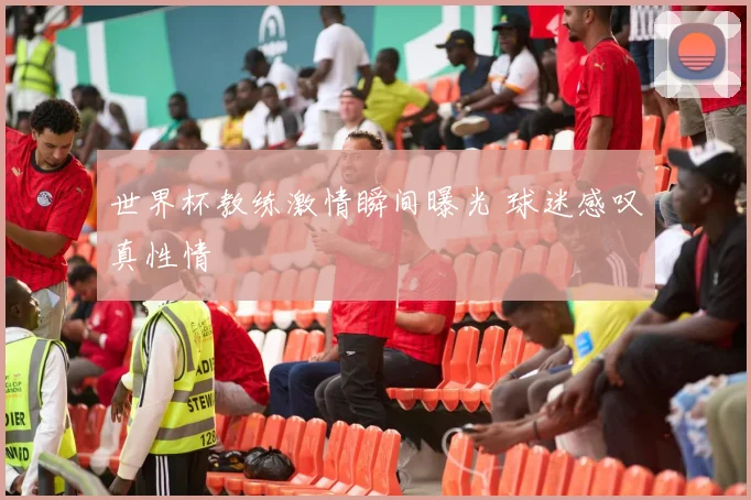 世界杯教练激情瞬间曝光 球迷感叹真性情