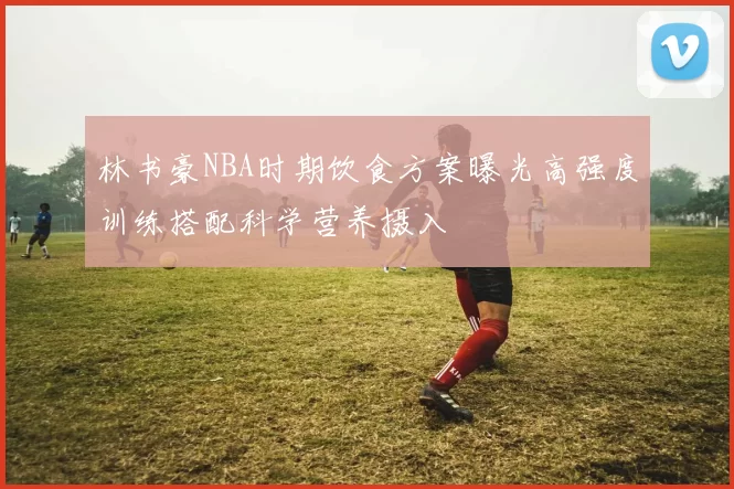 林书豪NBA时期饮食方案曝光高强度训练搭配科学营养摄入