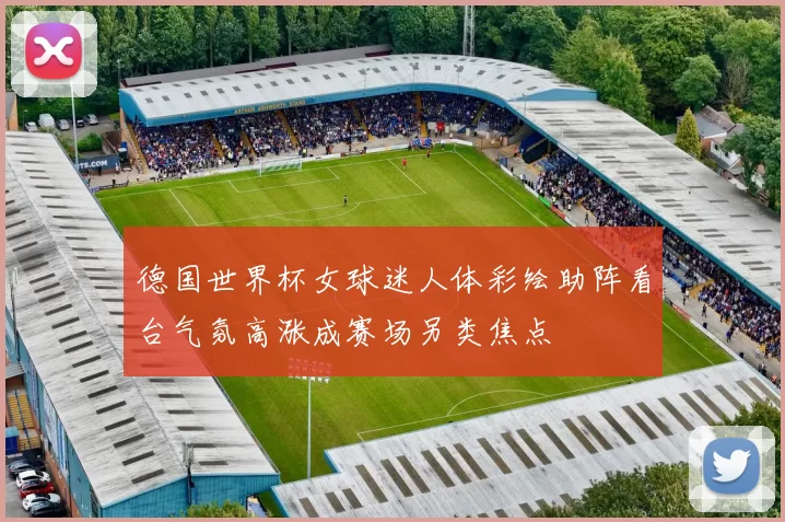 德国世界杯女球迷人体彩绘助阵看台气氛高涨成赛场另类焦点